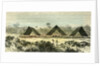Consaya 1869 Peru by Anonymous