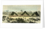 Consaya 1869 Peru by Anonymous