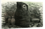 Mummy of an Aymara Indian 1869 Peru by Anonymous