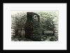 Mummy of an Aymara Indian 1869 Peru by Anonymous