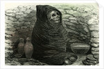 Mummy of an Aymara Indian 1869 Peru by Anonymous