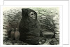 Mummy of an Aymara Indian 1869 Peru by Anonymous