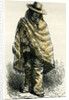 Valley of Arequipachacarero 1869 Peru by Anonymous