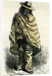 Valley of Arequipachacarero 1869 Peru by Anonymous