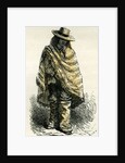 Valley of Arequipachacarero 1869 Peru by Anonymous