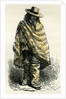 Valley of Arequipachacarero 1869 Peru by Anonymous