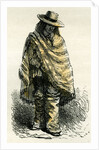Valley of Arequipachacarero 1869 Peru by Anonymous