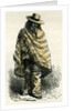 Valley of Arequipachacarero 1869 Peru by Anonymous