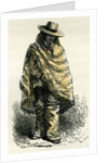 Valley of Arequipachacarero 1869 Peru by Anonymous
