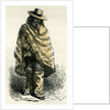 Valley of Arequipachacarero 1869 Peru by Anonymous