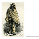 Valley of Arequipachacarero 1869 Peru by Anonymous