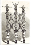 English Boys Sport 1881 by Anonymous