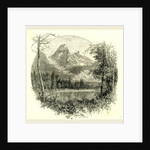The Tetons, 1891 by Anonymous