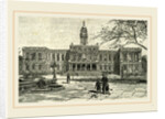 The New York City Hall, 1891 by Anonymous