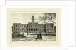 The New York City Hall, 1891 by Anonymous