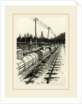 Pennsylvania, an Oil Siding, Petroleum Train, and Pumping Station, 19th century by Anonymous