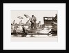 The Oxford And Cambridge Boat Race: Notes From The Press Boat by Anonymous