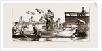 The Oxford And Cambridge Boat Race: Notes From The Press Boat by Anonymous