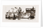 The Oxford And Cambridge Boat Race: Notes From The Press Boat by Anonymous