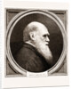 Charles R. Darwin, Esq. F.r.s. by Anonymous