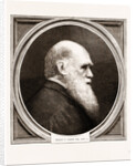 Charles R. Darwin, Esq. F.r.s. by Anonymous