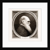 Charles R. Darwin, Esq. F.r.s. by Anonymous