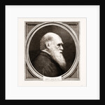 Charles R. Darwin, Esq. F.r.s. by Anonymous