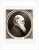 Charles R. Darwin, Esq. F.r.s. by Anonymous