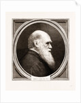 Charles R. Darwin, Esq. F.r.s. by Anonymous