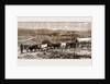 The Transvaal Gold Fields, South Africa by Anonymous