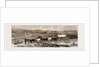 The Transvaal Gold Fields, South Africa by Anonymous