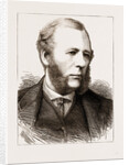 The Trial Of The Guicowar Of Baroda, 1875: Serjeant W. Ballantine by Anonymous