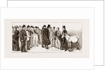 Annual Meeting Of The Golden Lane Costermongers' Mission: The Earl Of Shaftesbury Reviewing The Donkeys, 1875 by Anonymous