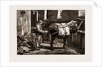 The Civil War In Spain, 1875: Carlist Baggage Carriers by Anonymous