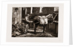The Civil War In Spain, 1875: Carlist Baggage Carriers by Anonymous