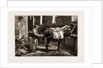 The Civil War In Spain, 1875: Carlist Baggage Carriers by Anonymous