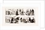 The Tichborne Case In Paris by Anonymous
