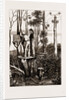 The Recent Transit Of Venus: Preparing For Work At An Australian Bush Station, 1875 by Anonymous