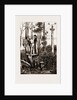 The Recent Transit Of Venus: Preparing For Work At An Australian Bush Station, 1875 by Anonymous