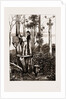 The Recent Transit Of Venus: Preparing For Work At An Australian Bush Station, 1875 by Anonymous