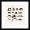 Horse Show At Manchester, UK by Anonymous
