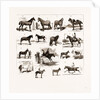 Horse Show At Manchester, UK by Anonymous