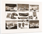 The Arctic Expedition: Apparatus by Anonymous