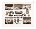 The Arctic Expedition: Apparatus by Anonymous