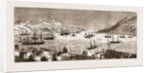 The Seal Fishing Fleet In St. John's Bay, Newfoundland by Anonymous