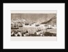 The Seal Fishing Fleet In St. John's Bay, Newfoundland by Anonymous