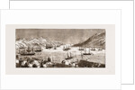 The Seal Fishing Fleet In St. John's Bay, Newfoundland by Anonymous
