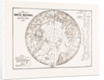 The Arctic Expedition: Chart Of The Polar Regions, 1875 by Anonymous
