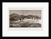 The Plague Of Rats In Burmah, Burma by Anonymous