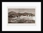 The Plague Of Rats In Burmah, Burma by Anonymous